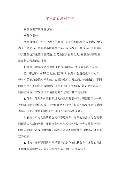 龙鱼混养注意事项