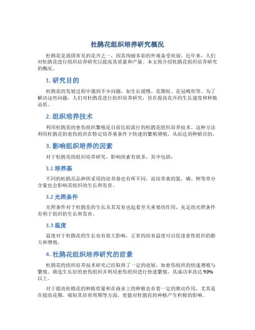 杜鹃花组织培养研究概况