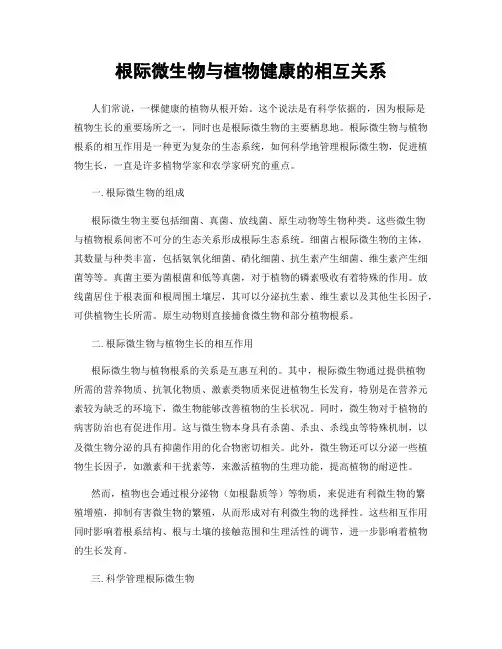 根际微生物与植物健康的相互关系