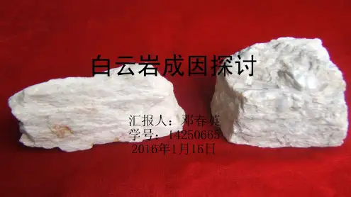 邓春英—白云岩成因探讨要素