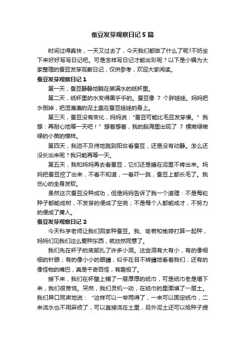 蚕豆发芽观察日记5篇