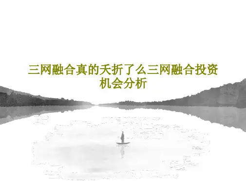 三网融合真的夭折了么三网融合投资机会分析PPT共25页