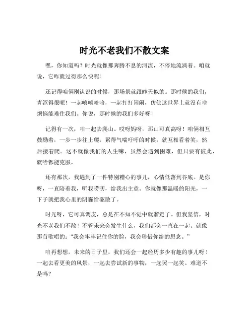 时光不老我们不散文案