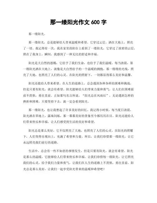 那一缕阳光作文600字