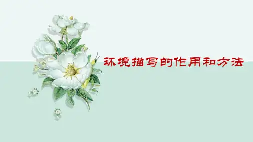 环境描写的作用和方法精选全文