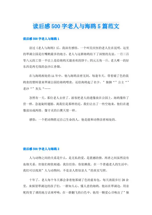读后感500字老人与海鸥5篇范文