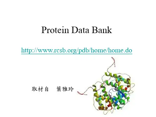 PDB数据库.ppt