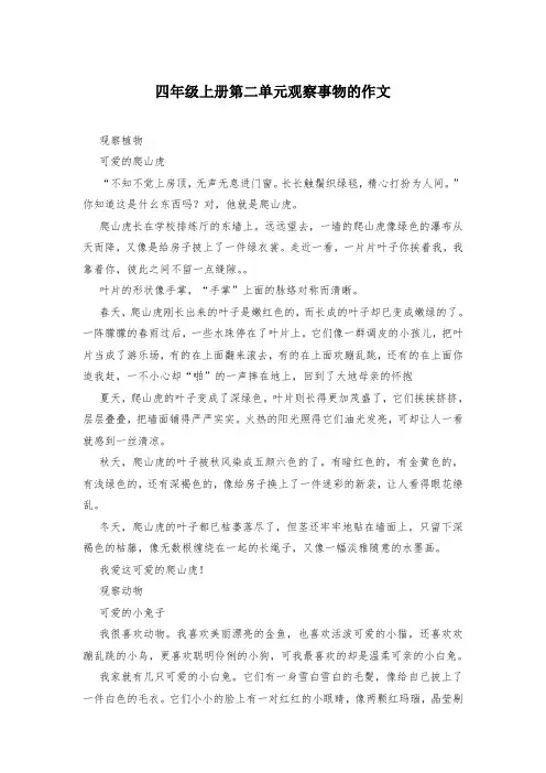 四年级上册第二单元观察事物的作文