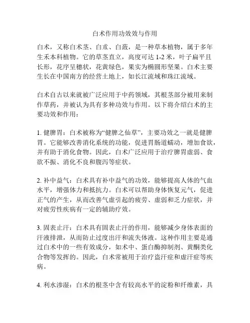 白术作用功效效与作用