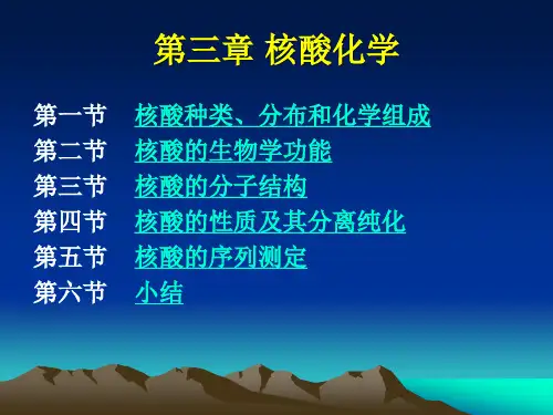 生物化学第三章核酸化学