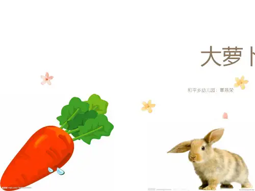《大萝卜》(幼儿园小班PPT课件)