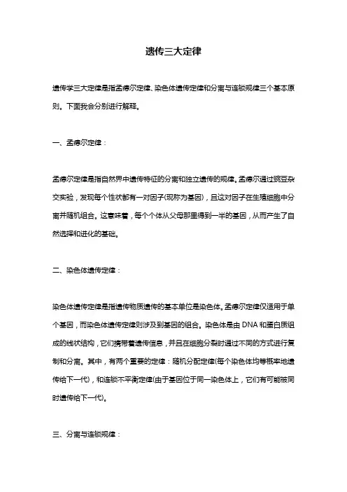 遗传三大定律