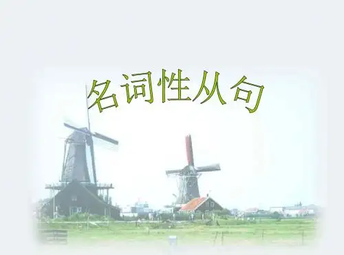 高二英语名词性从句