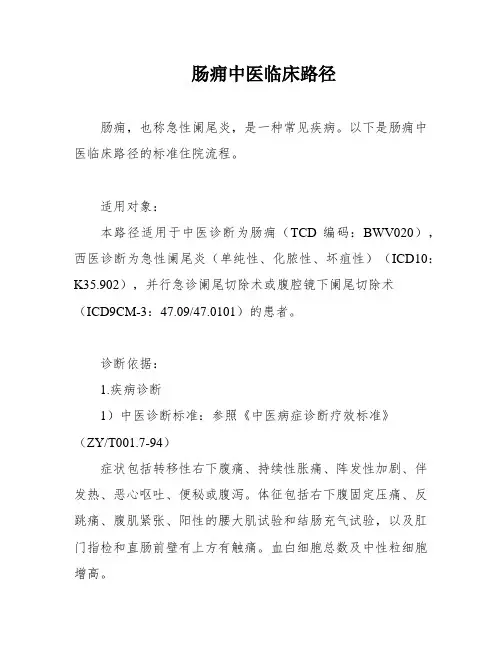 肠痈中医临床路径