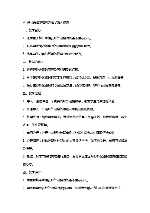 20课要是你在野外迷了路教案