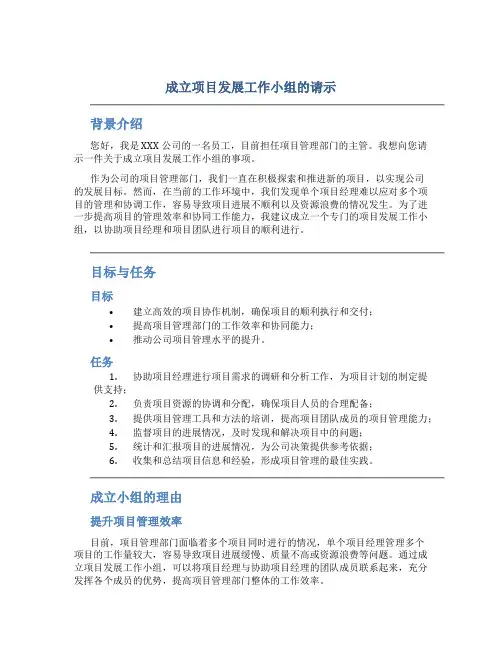 成立项目发展工作小组的请示