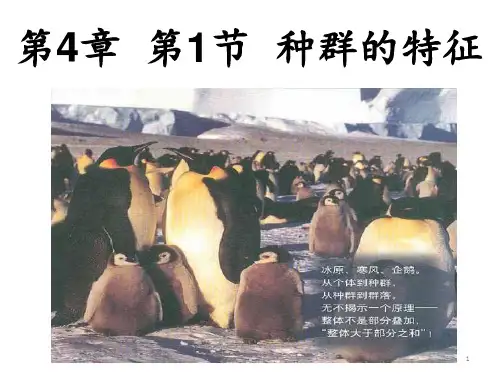 种群的特征课件PPT课件