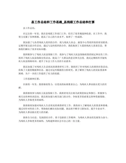 县工作总结和工作思路_县残联工作总结和打算