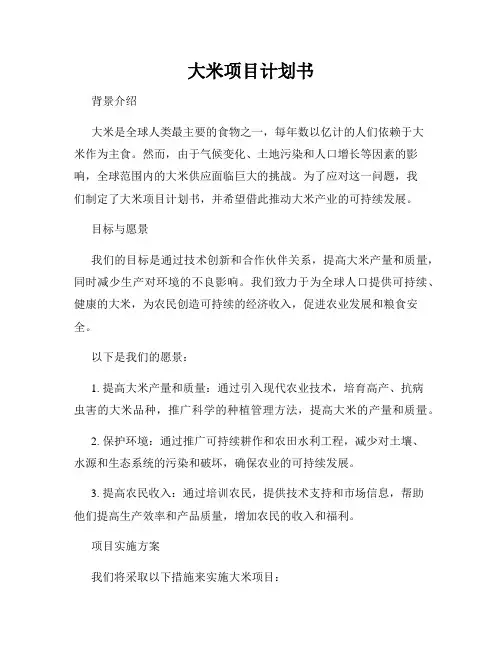 大米项目计划书