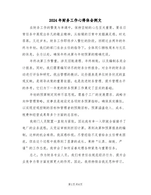 2024年财务工作心得体会例文（3篇）