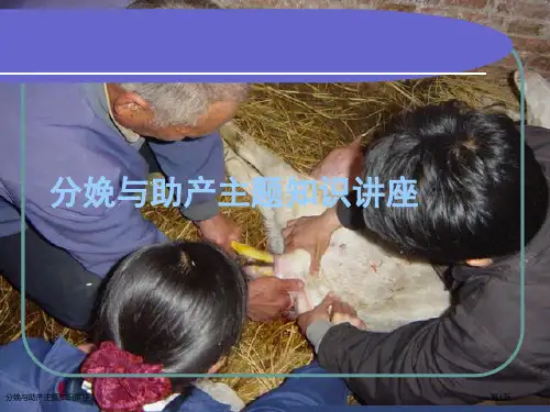 分娩与助产主题知识讲座