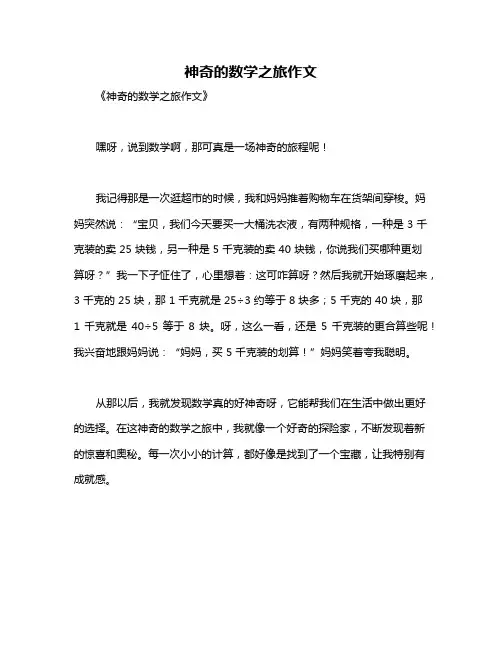神奇的数学之旅作文