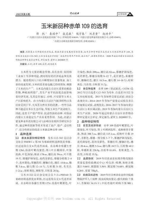玉米新品种赤单109 的选育
