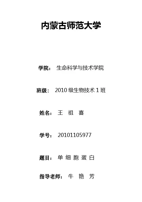单细胞蛋白