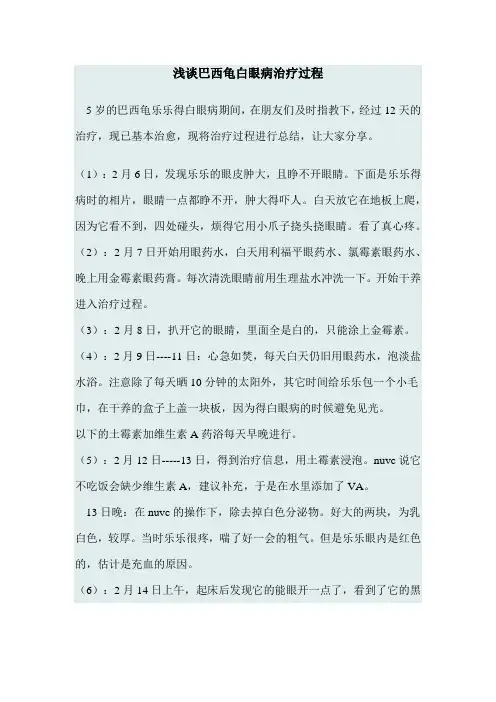 浅谈巴西龟白眼病治疗过程