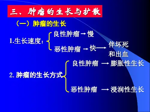 大学课程病理学9.肿瘤的生长与扩散课件