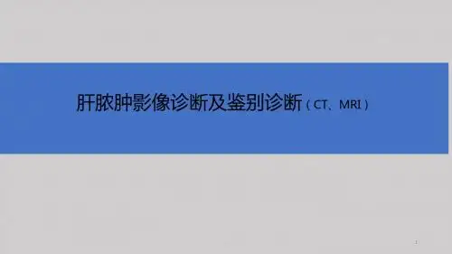 肝脓肿影像诊断及鉴别诊断医学PPT参考课件