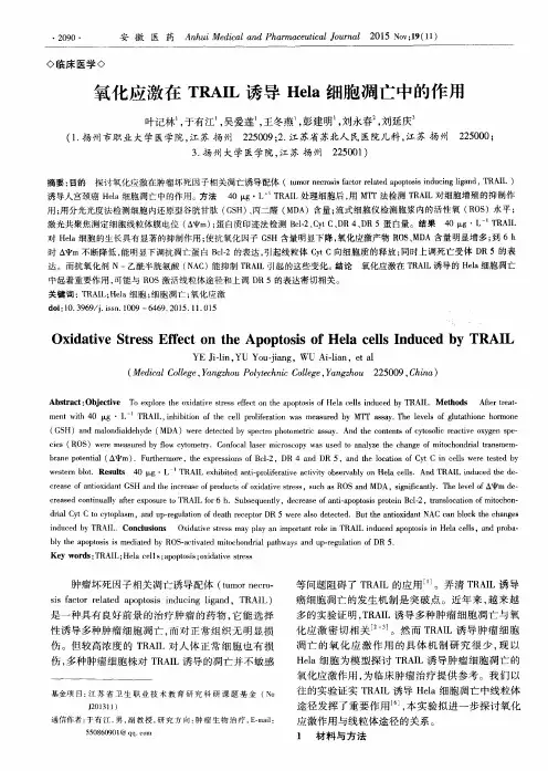 氧化应激在TRAIL诱导Hela细胞凋亡中的作用