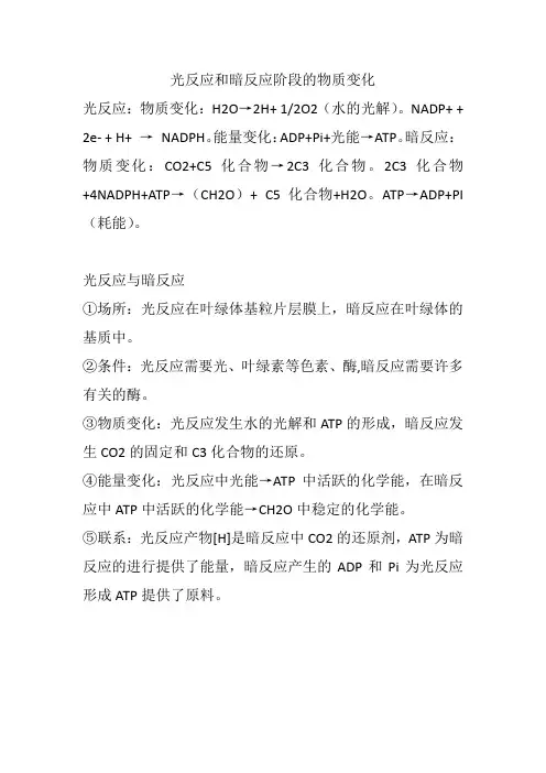 光反应和暗反应阶段的物质变化