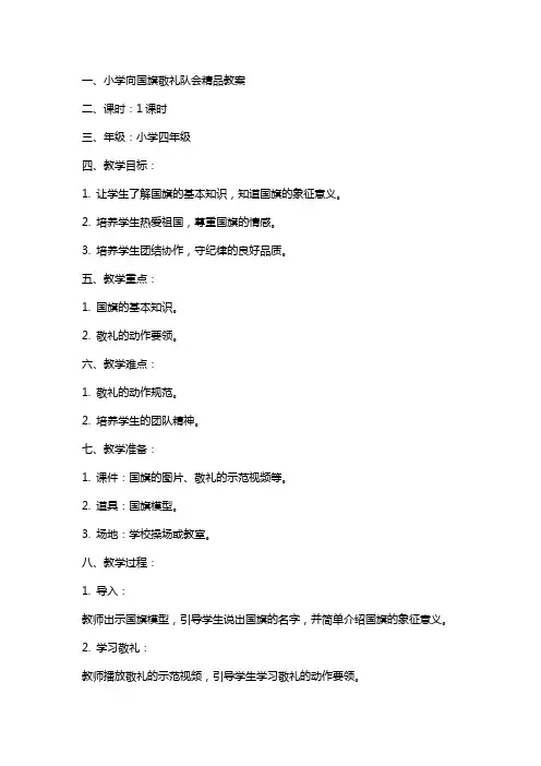 小学向国旗敬礼队会教案