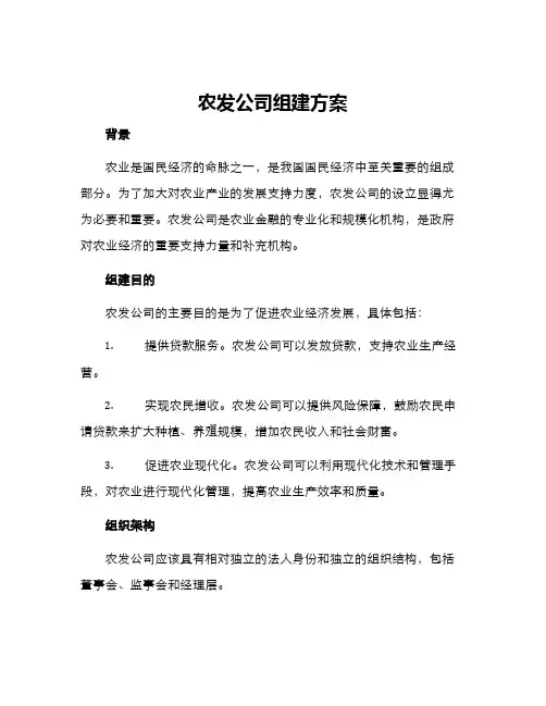 农发公司组建方案