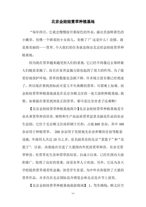北京金娃娃萱草种植基地