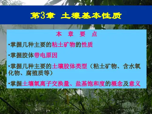 第3章 土壤基本性质