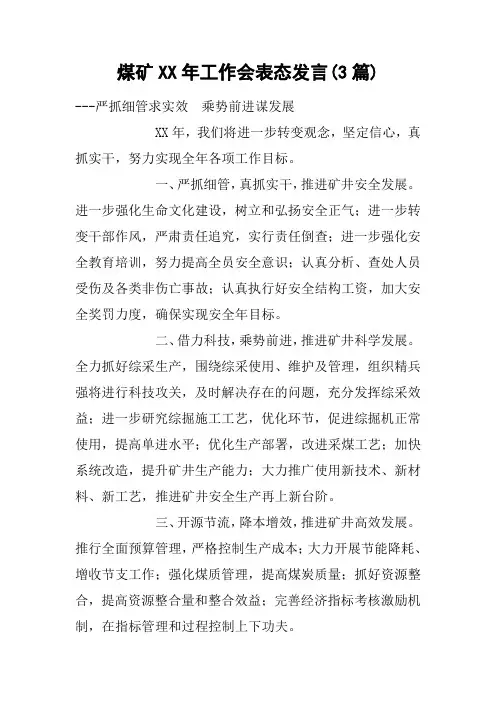 煤矿XX年工作会表态发言(3篇)