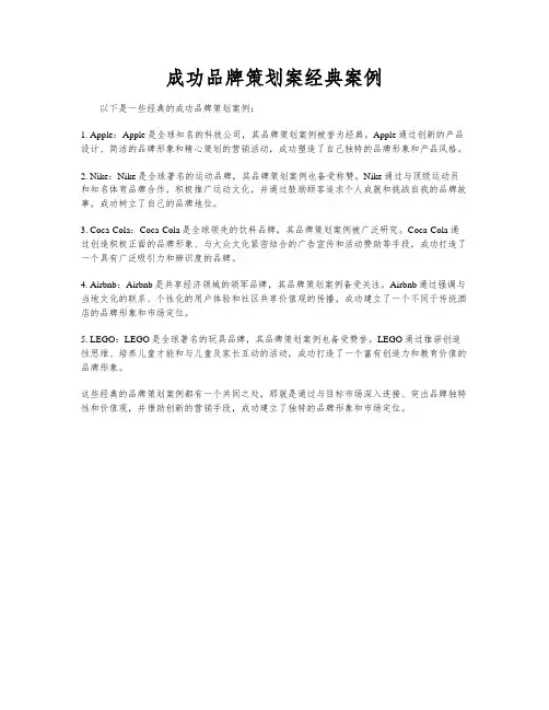 成功品牌策划案经典案例