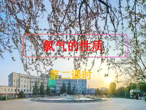 第二章第二节《氯气的性质》ppt上学期高一化学人教版必修第一册