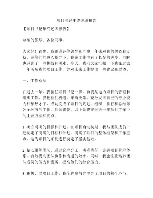 项目书记年终述职报告