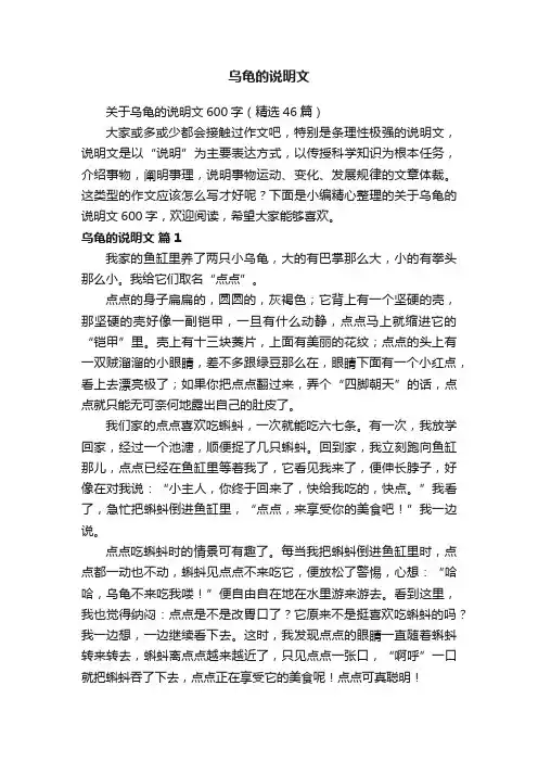 关于乌龟的说明文600字（精选46篇）