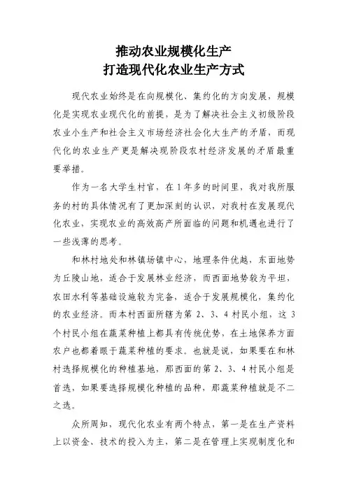 推动农业规模化生产打造现代化农业生产方式
