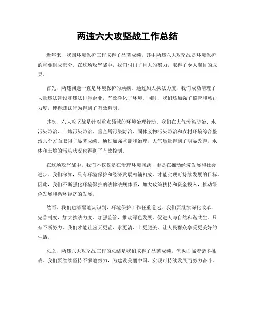 两违六大攻坚战工作总结