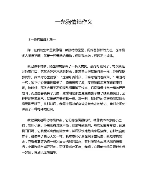 一条狗情结作文