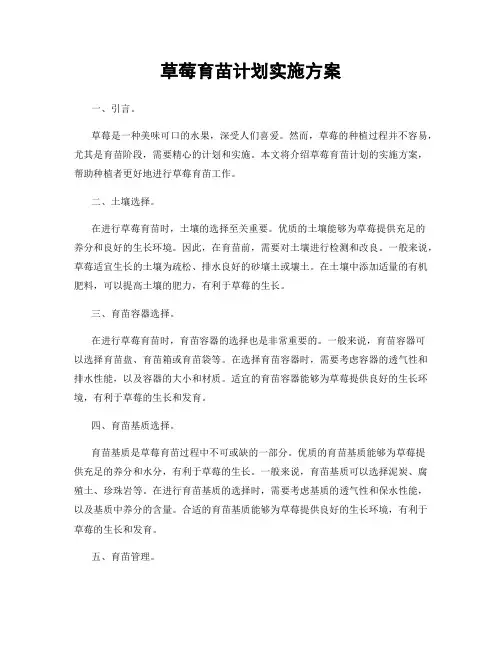 草莓育苗计划实施方案
