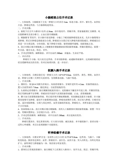 简单神经外科手术记录