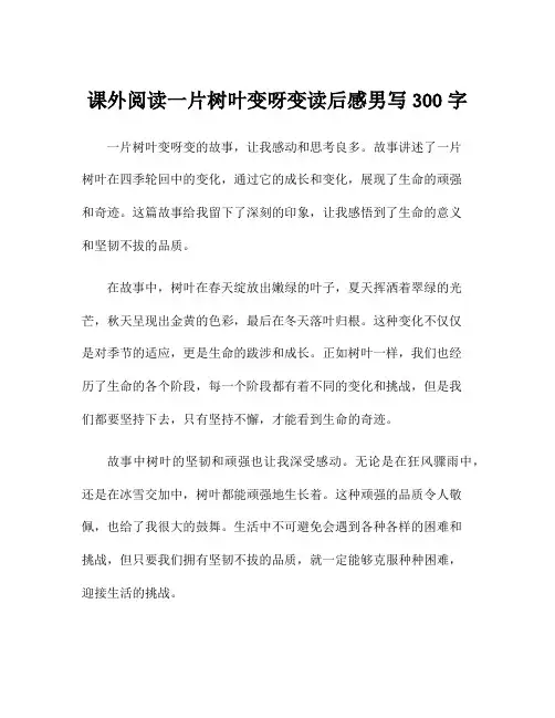 课外阅读一片树叶变呀变读后感男写300字