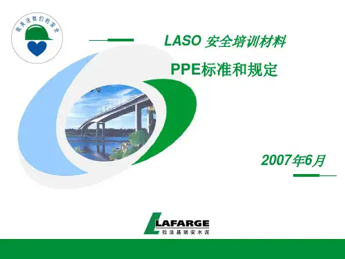 PPE标准和规定