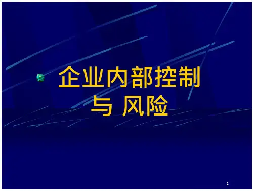 企业内部控制与经营风险防范.PPT-